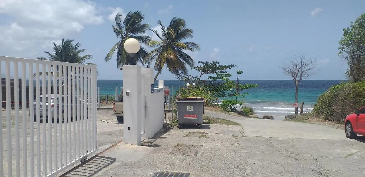 Studio Evasion Tropicale Diamant